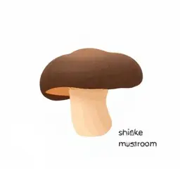 Tìm Hiểu Nấm Đông Cô Tiếng Anh Là Gì Và Từ Vựng Shiitake Mushroom Cho Người Học Tiếng Anh