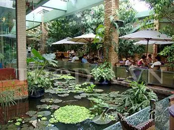 Tổng Hợp Nhà Hàng Muối Tiêu Chanh Ngon Và Địa Chỉ Chi Tiết Tại Tp.hcm, Vinh