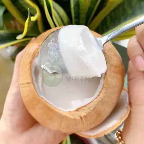 Gợi Ý Các Nơi Bán Rau Câu Trái Dừa Ngon Tại Tp.hcm Và Đà Nẵng