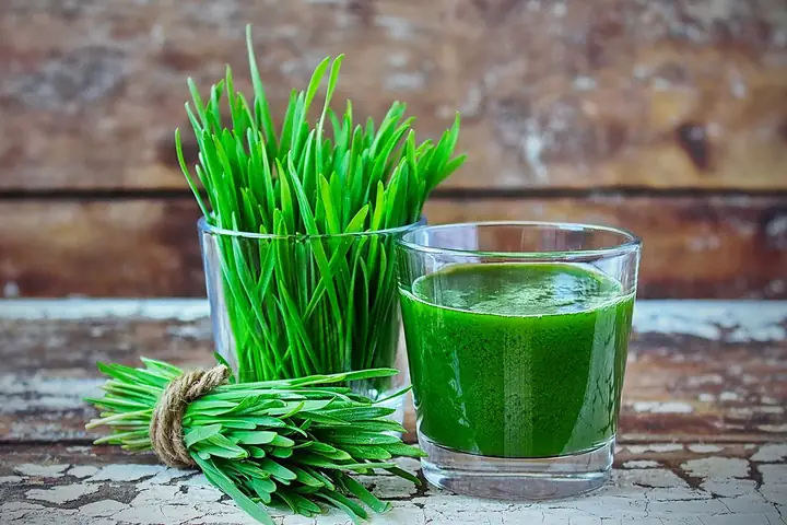 Tác Dụng Và Cách Làm Nước Ép Cỏ Lúa Mì Tại Nhà Cho Người Mới Bắt Đầu Tác Dụng Và Cách Làm Nước Ép Cỏ Lúa Mì Tại Nhà Cho Người Mới Bắt Đầu