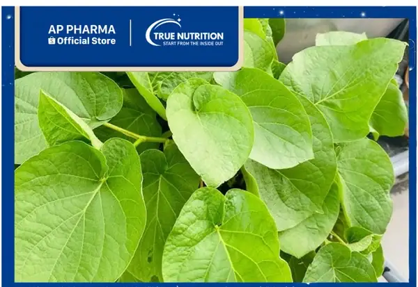 Giải Đáp Nước Xá Xị Làm Từ Gì: Nguyên Liệu Tự Nhiên Và Thành Phần Công Nghiệp