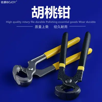 Cách Nấu Ốc Móng Tay Có Sen Chuẩn Vị Và Mẹo Chọn Ốc Tươi Ngon Cho Người Mới Học Nấu Ăn