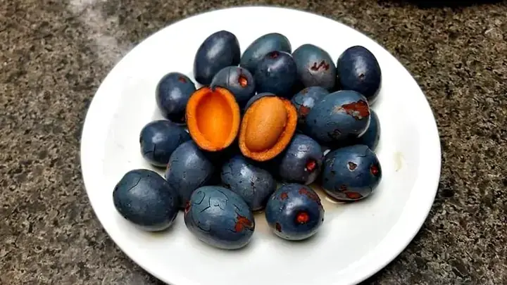 Phân Biệt Quả Trám Và Quả Cọ: Hình Dáng, Vị Giác Và Đặc Sản Vùng Miền