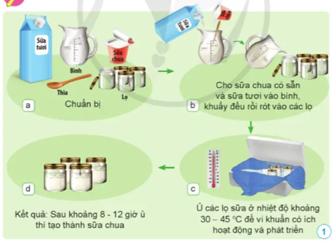 Quy Trình Làm Sữa Chua Từ A‑z: Hướng Dẫn Chi Tiết Từng Bước Quy Trình Làm Sữa Chua Từ A‑z: Hướng Dẫn Chi Tiết Từng Bước