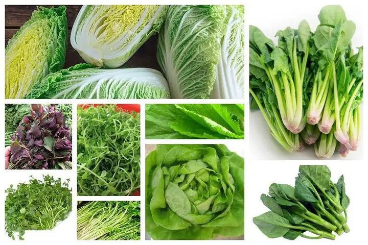 Tổng Hợp Các Loại Rau Ăn Lẩu Thái Chua Cay Chuẩn Vị Không Thể Thiếu Cho Nồi Lẩu Tổng Hợp Các Loại Rau Ăn Lẩu Thái Chua Cay Chuẩn Vị Không Thể Thiếu Cho Nồi Lẩu