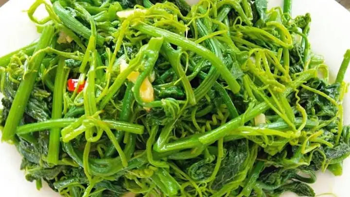 Rau Bí Xào Tỏi Bao Nhiêu Calo Và Có Giúp Giảm Cân Không? Rau Bí Xào Tỏi Bao Nhiêu Calo Và Có Giúp Giảm Cân Không?