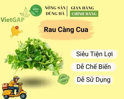 Giải Đáp: Rau Càng Cua Miền Bắc Gọi Là Gì Và Các Tên Gọi Theo Vùng Miền Giải Đáp: Rau Càng Cua Miền Bắc Gọi Là Gì Và Các Tên Gọi Theo Vùng Miền