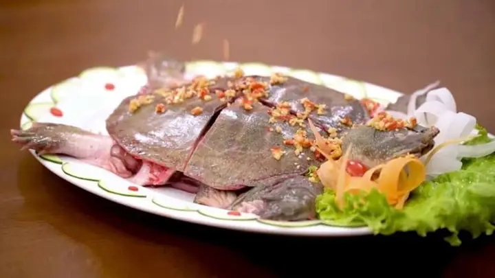 Điểm Danh Rau Dền Kỵ Với Gì Và Những Lưu Ý Ăn Uống An Toàn Cho Gia Đình Điểm Danh Rau Dền Kỵ Với Gì Và Những Lưu Ý Ăn Uống An Toàn Cho Gia Đình