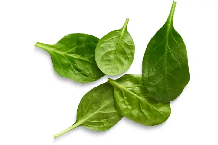 Rau Spinach Là Rau Gì: Định Nghĩa, Tên Gọi Khác Và Đặc Điểm Cơ Bản Của Rau Bina