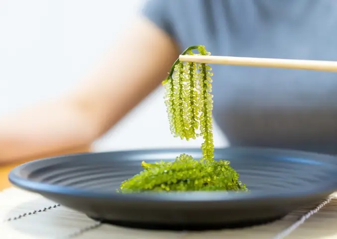 Rong Nho Ăn Sống Được Không Và Cách Ăn Tươi Ngon Như Rau Sống