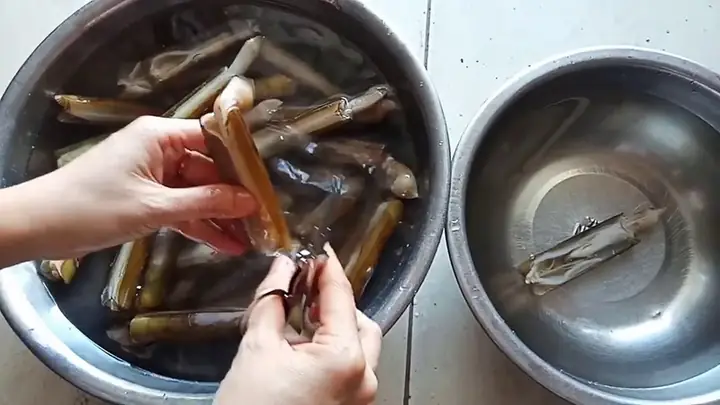 Cách Sơ Chế Ốc Móng Tay Sạch Cát Đơn Giản Tại Nhà