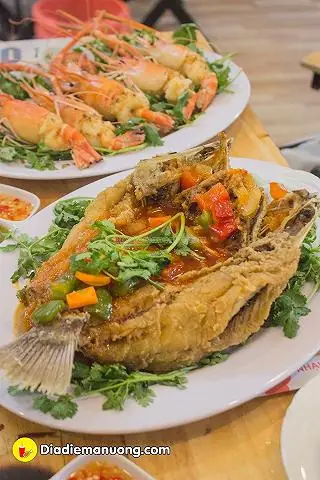 Khám Phá Sòi 3 Nhậu Kiểu Thái: Quán Ăn Và Phong Cách Ẩm Thực Đậm Chất Xứ Chùa Vàng