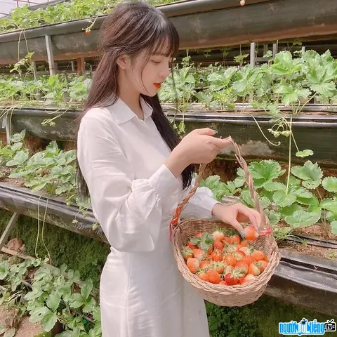 Streamer Bé My (sầm Thị Mỹ Hạnh): Tiểu Sử, Hồ Sơ Cá Nhân Và Hành Trình Từ "quá Khứ Bá Đạo" Đến Nữ Streamer Top Liên Quân