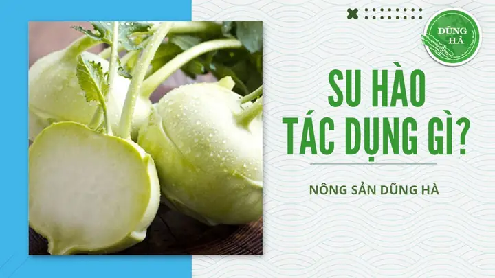 Giải Đáp: Su Hào Kỵ Với Gì Và Những Đại Kỵ Cần Lưu Ý Khi Ăn