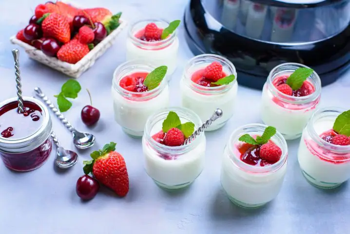 Cách Làm Sữa Chua Mứt Trái Cây Tại Nhà Cho Người Mới Bắt Đầu Cách Làm Sữa Chua Mứt Trái Cây Tại Nhà Cho Người Mới Bắt Đầu