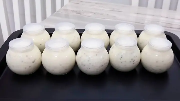 Cách Dùng Sữa Chua Và Hạt Chia Kết Hợp Giảm Cân Cho Người Bắt Đầu Tại Nhà