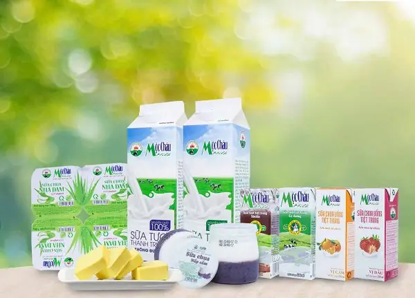 Top Các Loại Sữa Ngon Nhất Thế Giới: Danh Sách Thương Hiệu Đỉnh Cao Từ Chuyên Gia