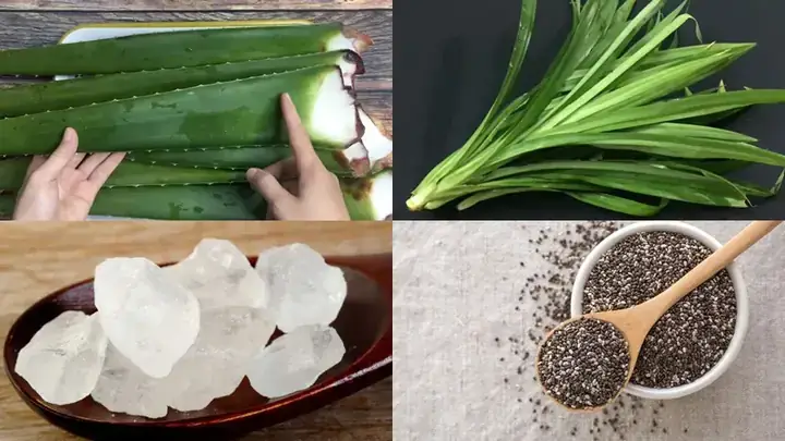 Tổng Hợp Tác Dụng Của Nha Đam Đường Phèn Cho Sức Khỏe Và Sắc Đẹp Tổng Hợp Tác Dụng Của Nha Đam Đường Phèn Cho Sức Khỏe Và Sắc Đẹp