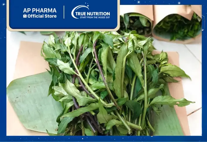 Khám Phá Tác Dụng Của Rau Lủi: Công Dụng Theo Đông Y Và Lợi Ích Sức Khỏe Hiện Đại Khám Phá Tác Dụng Của Rau Lủi: Công Dụng Theo Đông Y Và Lợi Ích Sức Khỏe Hiện Đại