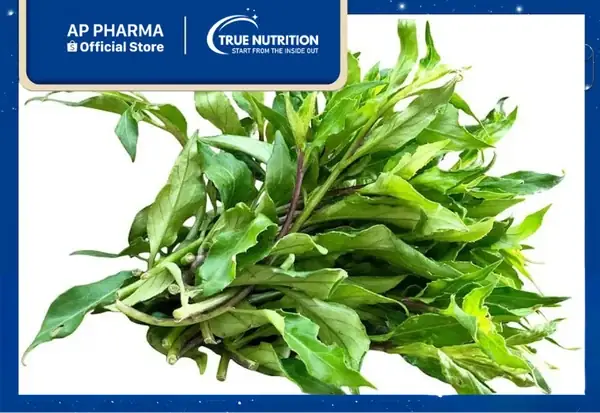 Khám Phá Tác Dụng Của Rau Lủi: Công Dụng Theo Đông Y Và Lợi Ích Sức Khỏe Hiện Đại Khám Phá Tác Dụng Của Rau Lủi: Công Dụng Theo Đông Y Và Lợi Ích Sức Khỏe Hiện Đại
