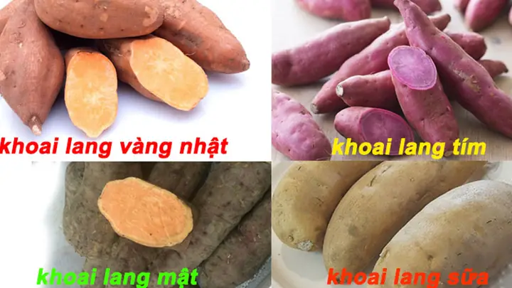 Tên Các Loại Khoai Lang Phổ Biến Ở Việt Nam Và Cách Phân Biệt Chúng