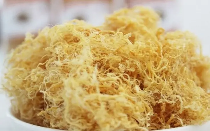 Thịt Chà Bông Tiếng Anh Là Gì? Định Nghĩa, Từ Tương Đương Và Cách Dùng Thịt Chà Bông Tiếng Anh Là Gì? Định Nghĩa, Từ Tương Đương Và Cách Dùng