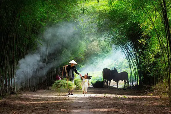 Tiktoker Ông Lương Làm Nông (mai Văn Lương): Tiểu Sử, Hành Trình Thành "idol U70" Và Thương Hiệu Tương Bần Hưng Yên Tiktoker Ông Lương Làm Nông (mai Văn Lương): Tiểu Sử, Hành Trình Thành "idol U70" Và Thương Hiệu Tương Bần Hưng Yên