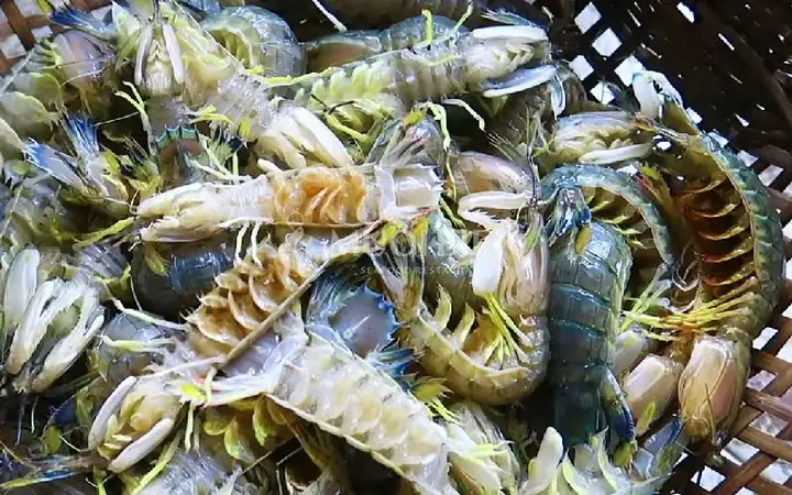 Tôm Tít Và Bề Bề Là Con Gì? Giải Đáp Quan Hệ Tên Gọi Và Đặc Điểm Nhận Biết Cho Người Yêu Hải Sản