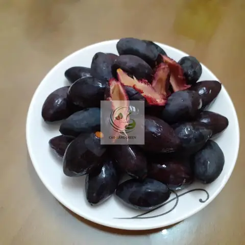 Trám Đen Bao Nhiêu Tiền 1kg? Cập Nhật Giá Tươi Sống Và Sơ Chế Mới Nhất