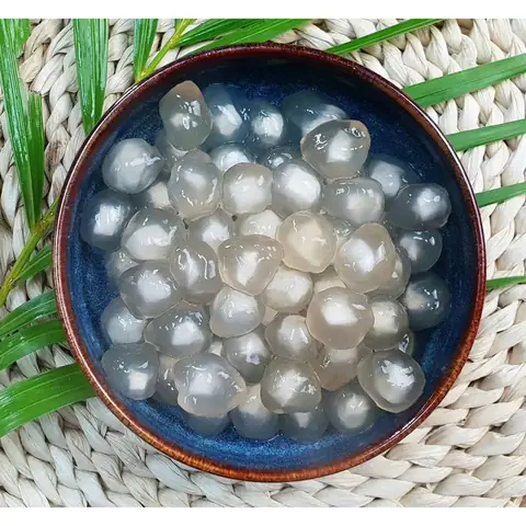 Mua Trân Châu Nhân Dừa Ở Đâu? Top Địa Chỉ Uy Tín Cho Người Mới Bắt Đầu