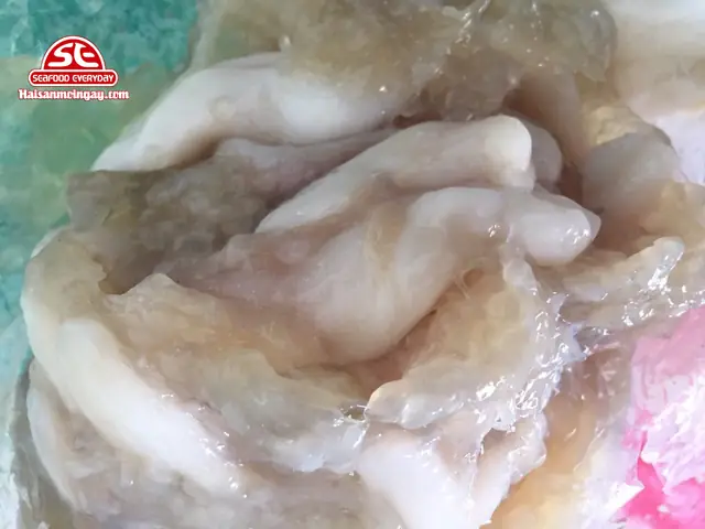 Giải Đáp Trứng Mực Ăn Được Không: Đặc Sản Bổ Dưỡng Cho Thực Khách Sành Ăn