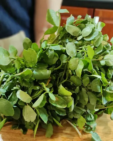 Tìm Hiểu Xà Lách Xoong Đà Lạt (cải Xoong): Đặc Điểm, Lợi Ích Và Nơi Mua Sắm