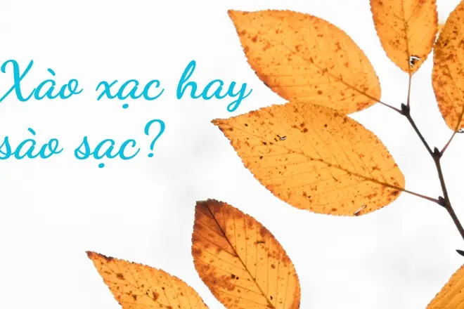 Phân Biệt Xào Nấu Hay Sào Nấu: Từ Đúng Chính Tả Và Nghĩa Của Xào Nấu Trong Tiếng Việt