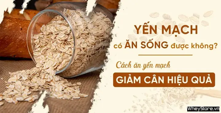 Yến Mạch Cán Dẹt Ăn Sống Được Không Và Cách Ăn An Toàn Cho Người Mới Dùng Yến Mạch Cán Dẹt Ăn Sống Được Không Và Cách Ăn An Toàn Cho Người Mới Dùng