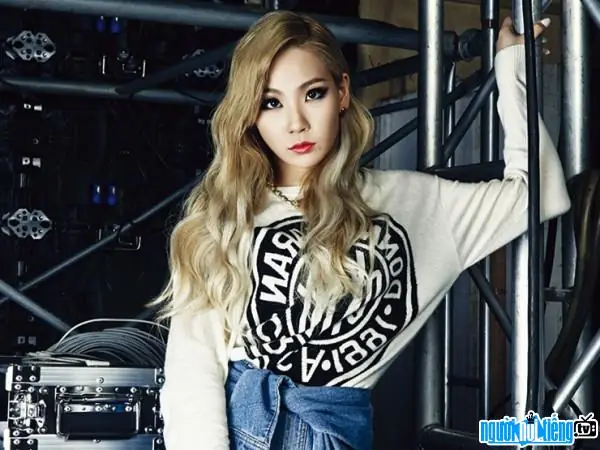 (lee Chae-rin): Tiểu Sử, Sự Nghiệp, Đĩa Nhạc V&agrave; C&aacute;c Sự Kiện Nổi Bật Của "nữ Ho&agrave;ng C&aacute; T&iacute;nh" K-pop