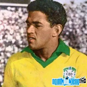 Tiểu Sử Cầu Thủ Bóng Bầu Dục Shane Vereen: Hồ Sơ, Sự Nghiệp Nfl & Thành Tích Running Back Tiểu Sử Cầu Thủ Bóng Bầu Dục Shane Vereen: Hồ Sơ, Sự Nghiệp Nfl & Thành Tích Running Back