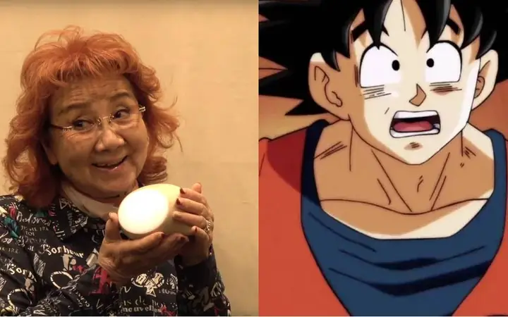 Masako Nozawa: Tiền Sự Nghiệp, Vai Diễn Điển H&igrave;nh & Vinh Danh Hu&acirc;n Chương Văn H&oacute;a Lịch Sử