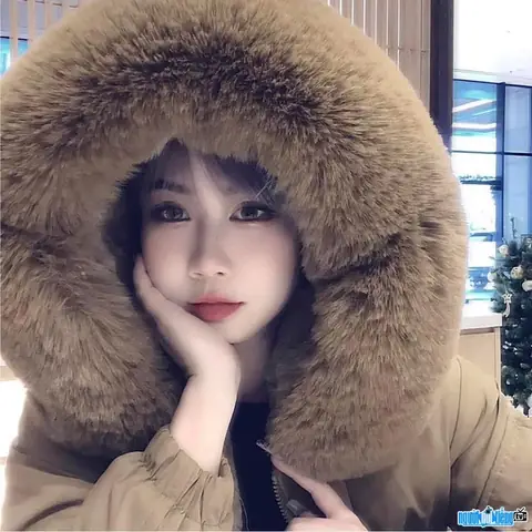 Nguyễn Thị Thanh Nh&agrave;n (nh&agrave;n Nguyễn): Hồ Sơ, Vụ &Aacute;n Aic V&agrave; To&agrave;n Bộ H&agrave;nh Tr&igrave;nh Xử Phạt