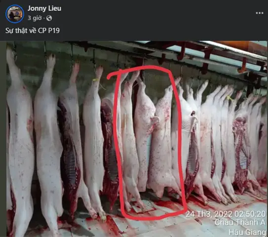 Liễu Quý Ngân Là Ai? Tiểu Sử, Sự Nghiệp & Diễn Biến Mới Nhất Vụ Tố Cáo C.p. Việt Nam Liễu Quý Ngân Là Ai? Tiểu Sử, Sự Nghiệp & Diễn Biến Mới Nhất Vụ Tố Cáo C.p. Việt Nam