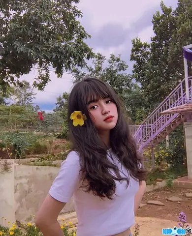 Nguyễn Ngọc Diệp L&agrave; Ai? Tiểu Sử, Tuổi, Qu&ecirc; Qu&aacute;n V&agrave; Link Mạng X&atilde; Hội Hot Teen Tiktoker "c&ocirc; G&aacute;i V&agrave;ng"