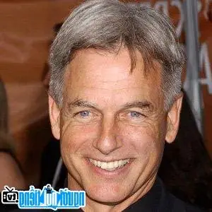 Mark Harmon: Tiểu Sử, H&agrave;nh Tr&igrave;nh Sự Nghiệp Từ St. Elsewhere Đến Ncis V&agrave; Cập Nhật Trở Lại Vai Gibbs