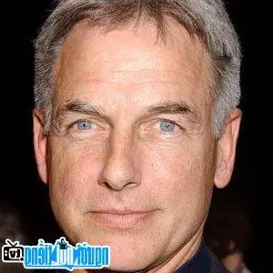 Mark Harmon: Tiểu Sử, H&agrave;nh Tr&igrave;nh Sự Nghiệp Từ St. Elsewhere Đến Ncis V&agrave; Cập Nhật Trở Lại Vai Gibbs