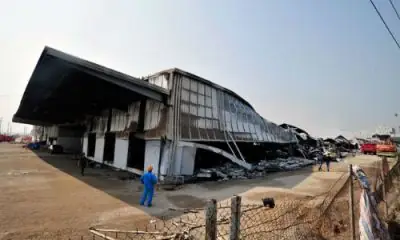 Nhà Báo Diana Diamond Là Ai? Tiểu Sử, Sự Nghiệp Và Thông Tin Cần Biết Về Biên Tập Viên Palo Alto Daily News Nhà Báo Diana Diamond Là Ai? Tiểu Sử, Sự Nghiệp Và Thông Tin Cần Biết Về Biên Tập Viên Palo Alto Daily News