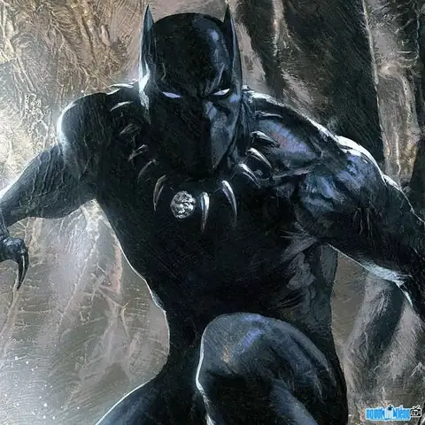 T&igrave;m Hiểu Nh&acirc;n Vật Hư Cấu Black Panther: Nguồn Gốc, Sức Mạnh, C&aacute;c Thế Hệ Kế Nhiệm V&agrave; Di Sản Mcu