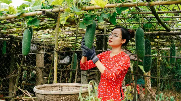 Hồ Sơ Tiktoker Út Về Vườn (trần Thị Kim Út): Từ Phóng Viên Đến "lý Tử Thất Việt Nam" Triệu View Hồ Sơ Tiktoker Út Về Vườn (trần Thị Kim Út): Từ Phóng Viên Đến "lý Tử Thất Việt Nam" Triệu View