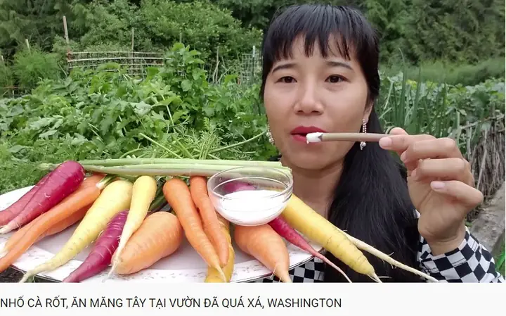 Youtuber Nhung H&agrave;: Hồ Sơ, K&ecirc;nh "cuộc Sống V&ugrave;ng N&uacute;i Ở Mỹ" V&agrave; Những Video Thu Hoạch Chữa L&agrave;nh Nổi Bật
